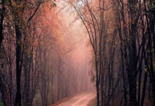 曼城主场惊险获胜，追赶切尔西积分