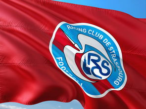 半岛综合体育官方app下载-帕尔梅拉斯战术调整显效，力争世俱杯更好名次