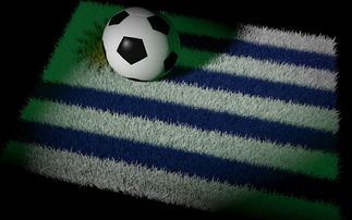 半岛体育app下载-阿根廷主场战胜厄瓜多尔，豪取三分